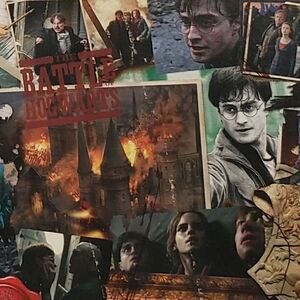Harry Potter Battle of Hogwarts 1000 Piece Puzzle Sealed